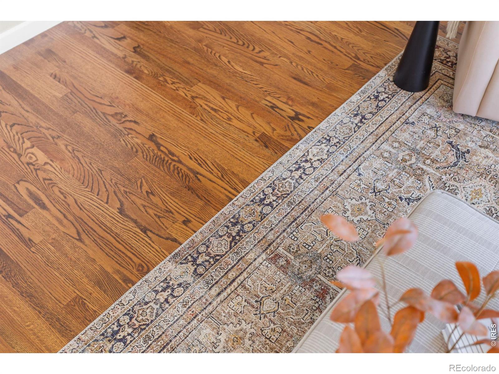 MLS Image #9 for 3010  champion circle,loveland, Colorado