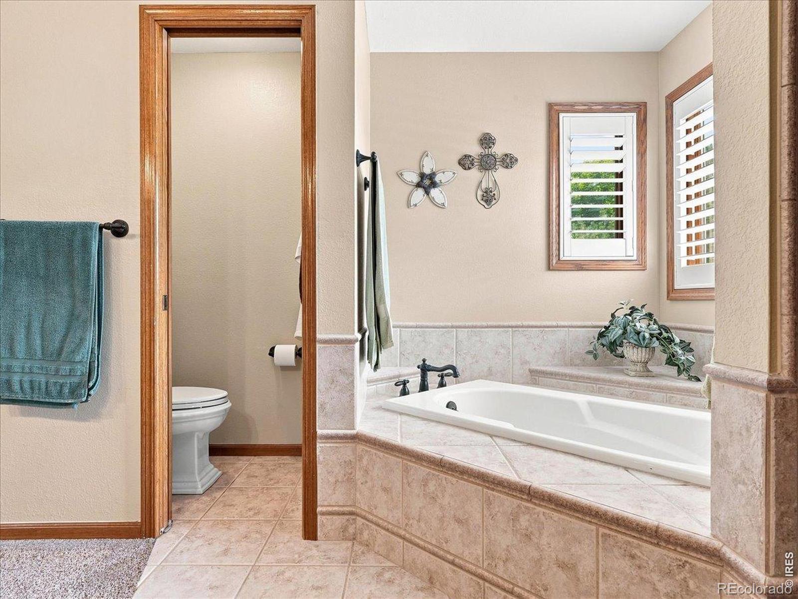 MLS Image #18 for 1009  medicine man court,windsor, Colorado