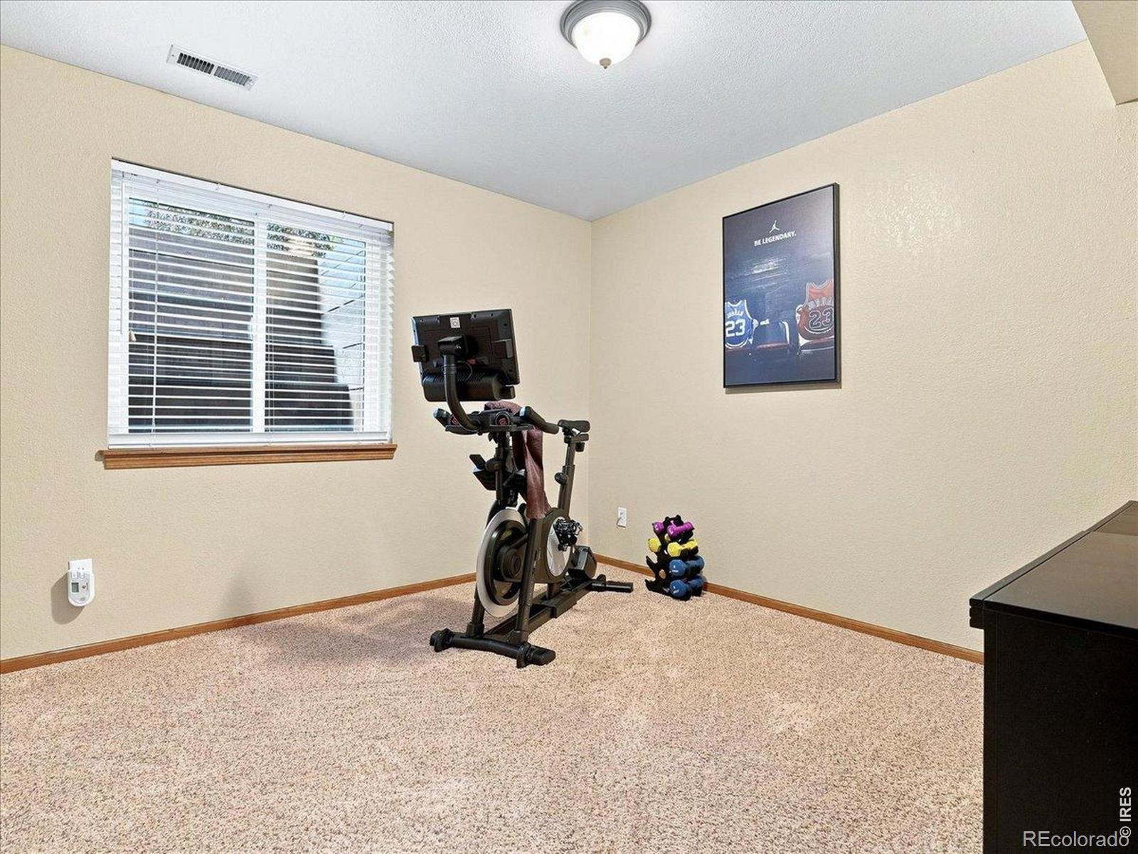 MLS Image #24 for 1009  medicine man court,windsor, Colorado