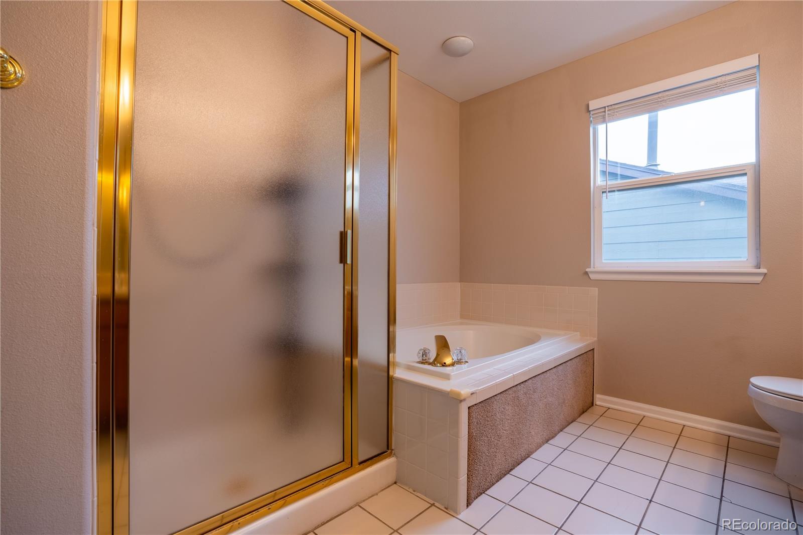 MLS Image #19 for 10240  rotherwood circle,highlands ranch, Colorado
