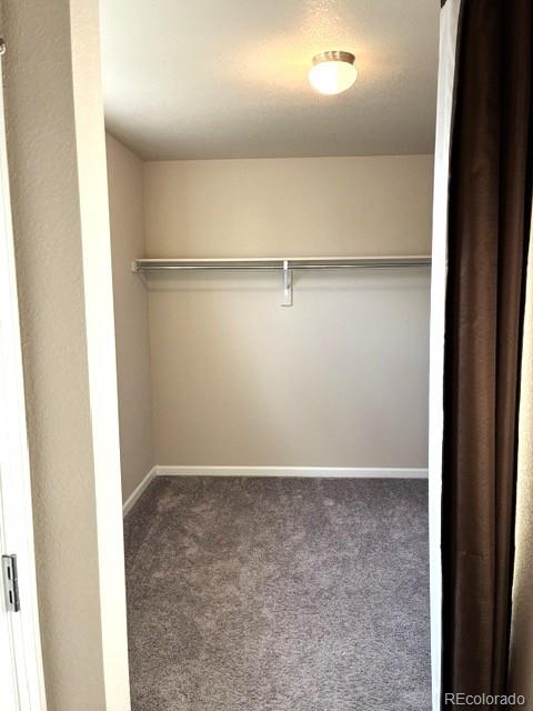 MLS Image #20 for 12801  randles avenue,parker, Colorado