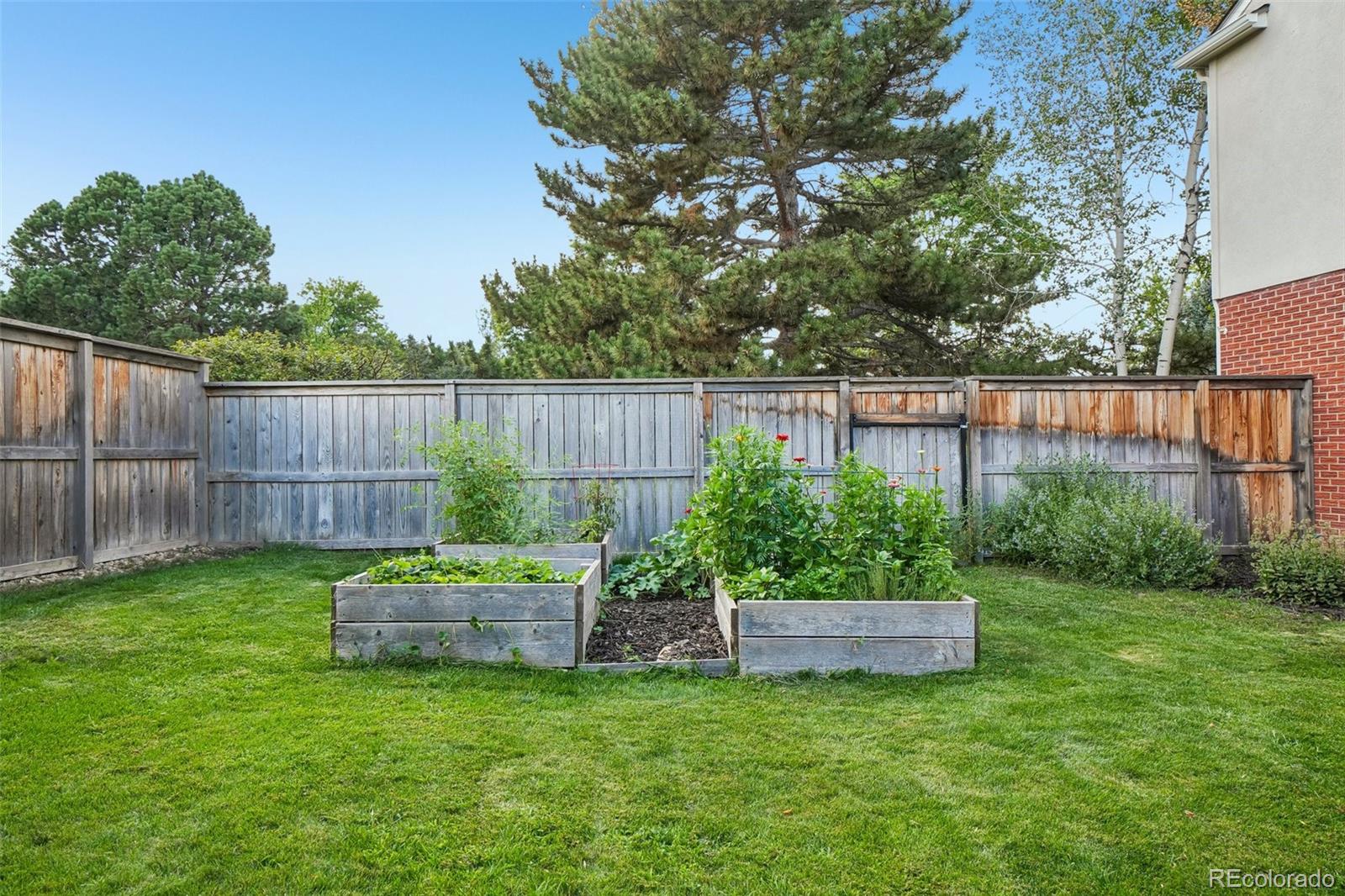 MLS Image #41 for 6766  audubon avenue,niwot, Colorado