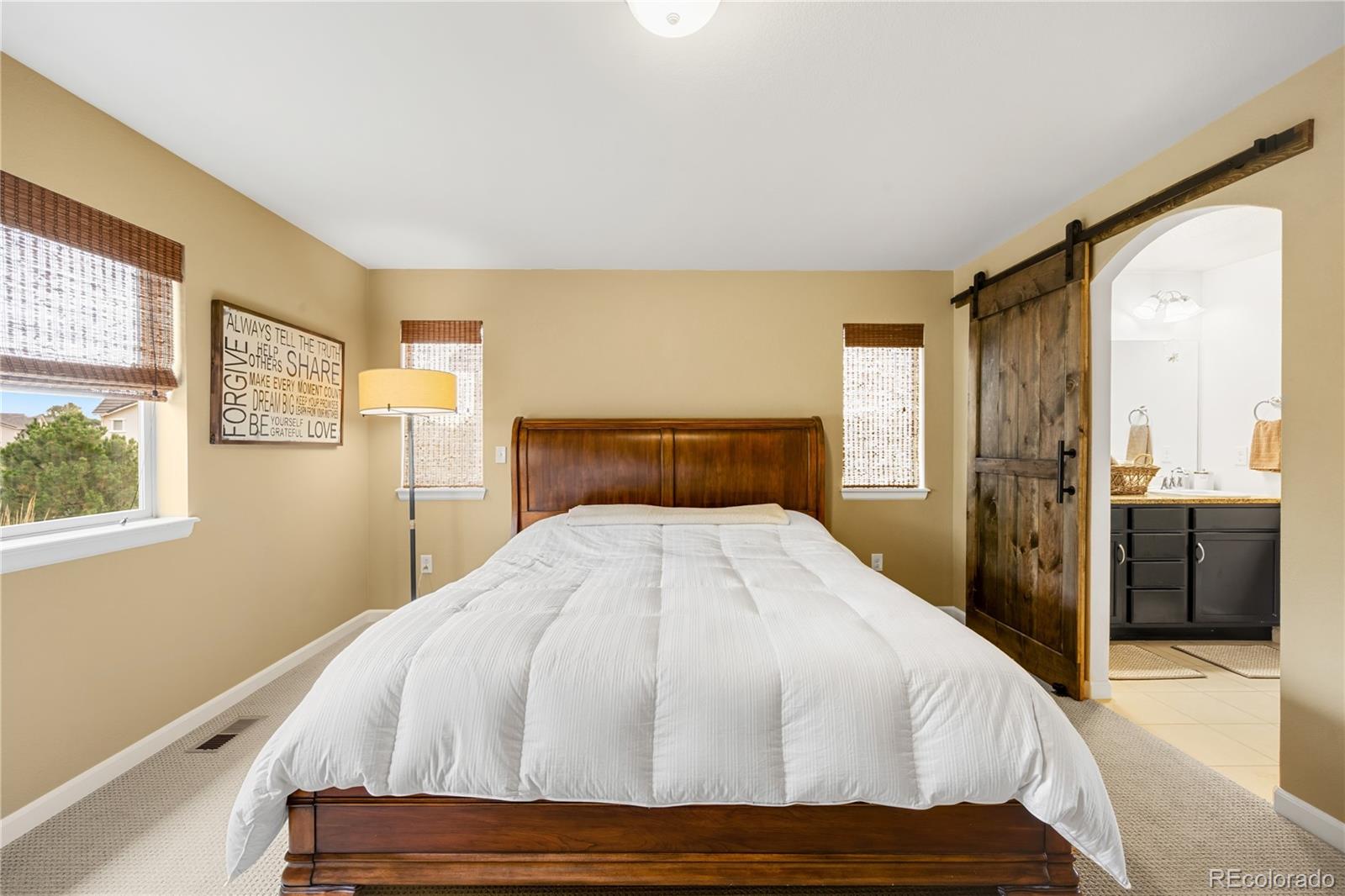 MLS Image #12 for 15149 w washburn avenue,lakewood, Colorado