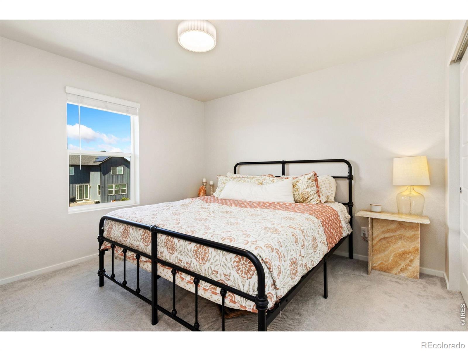 MLS Image #18 for 5313  ribault street,timnath, Colorado
