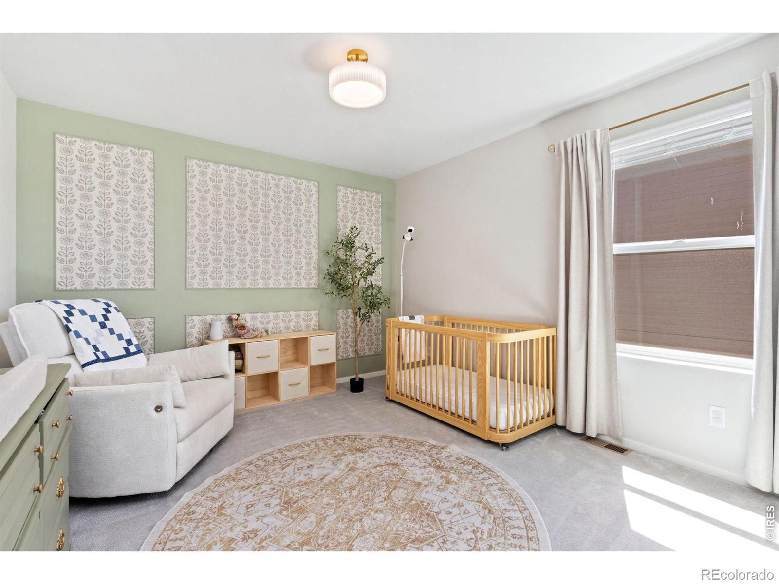 MLS Image #22 for 5313  ribault street,timnath, Colorado