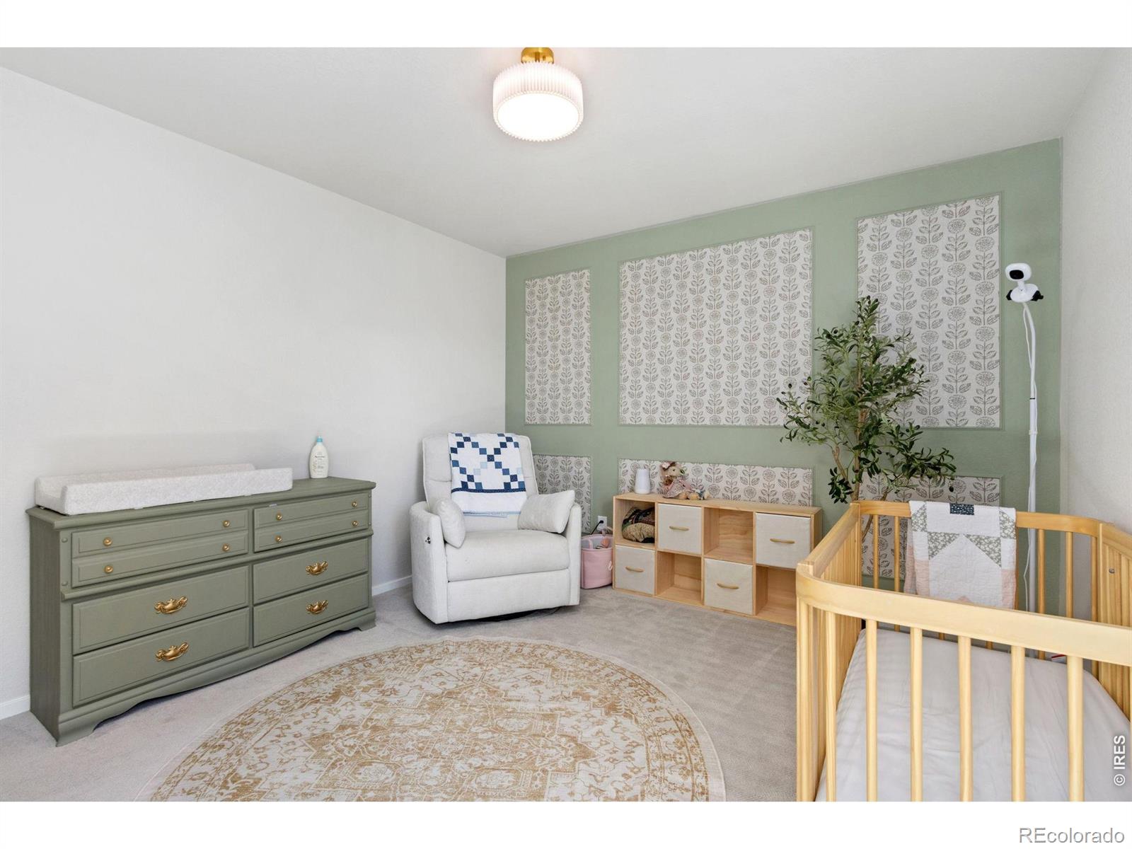 MLS Image #23 for 5313  ribault street,timnath, Colorado