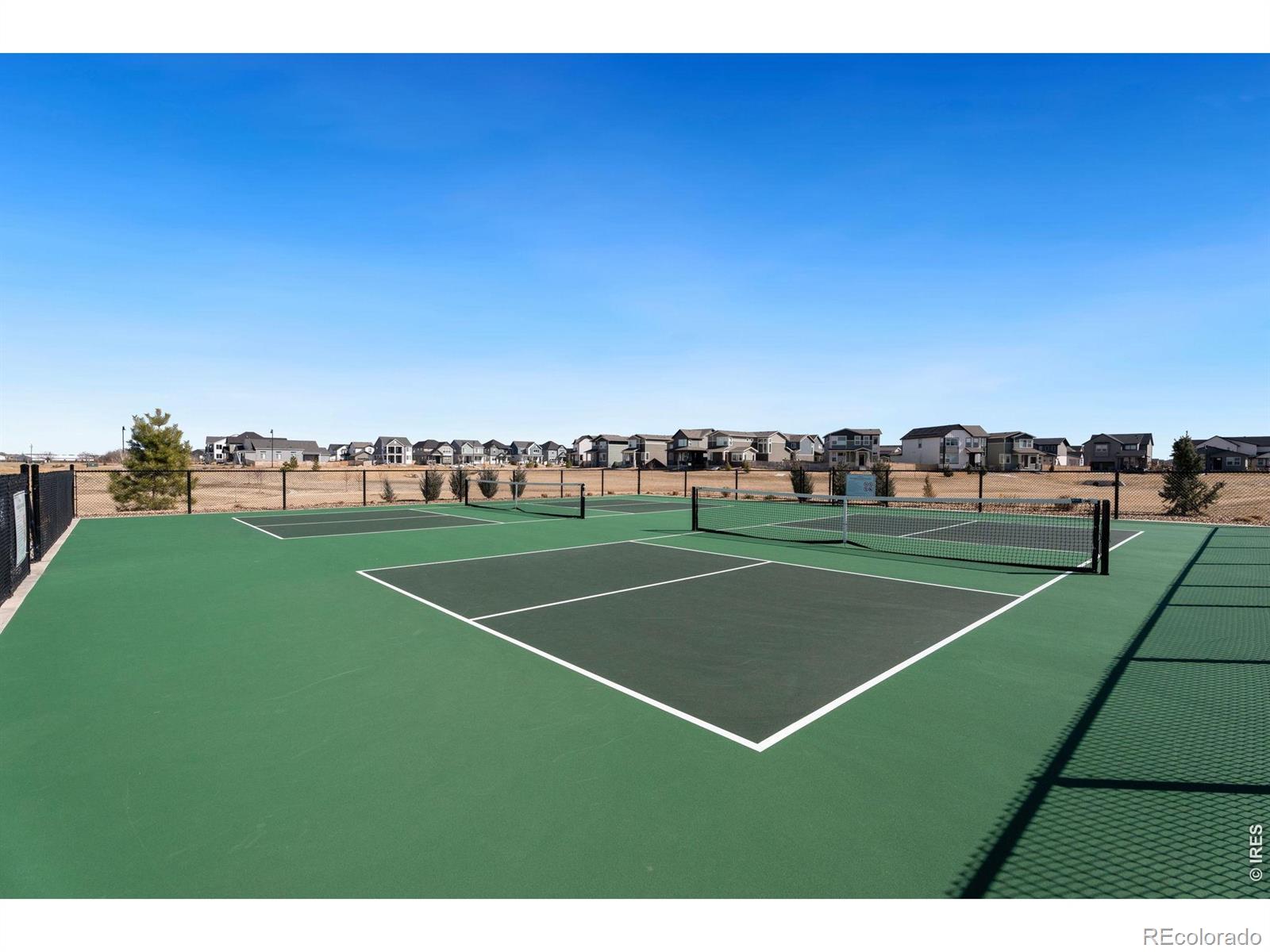 MLS Image #35 for 5313  ribault street,timnath, Colorado