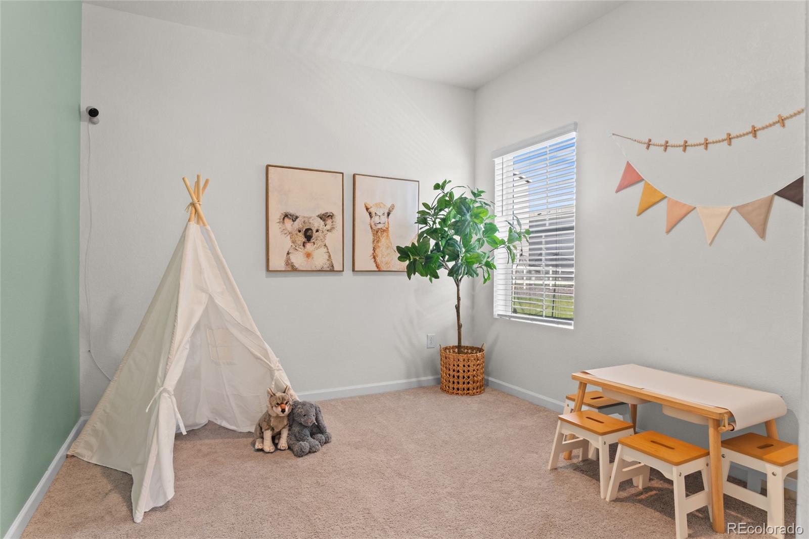 MLS Image #5 for 5105  lumos lane,castle rock, Colorado