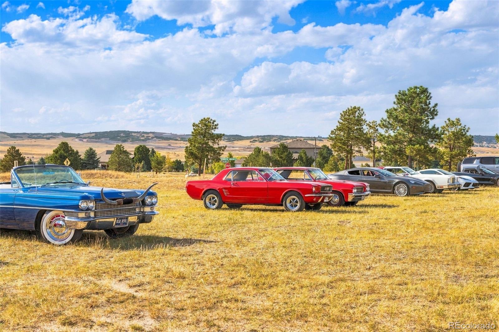 MLS Image #30 for 4504  mariposa road,castle rock, Colorado