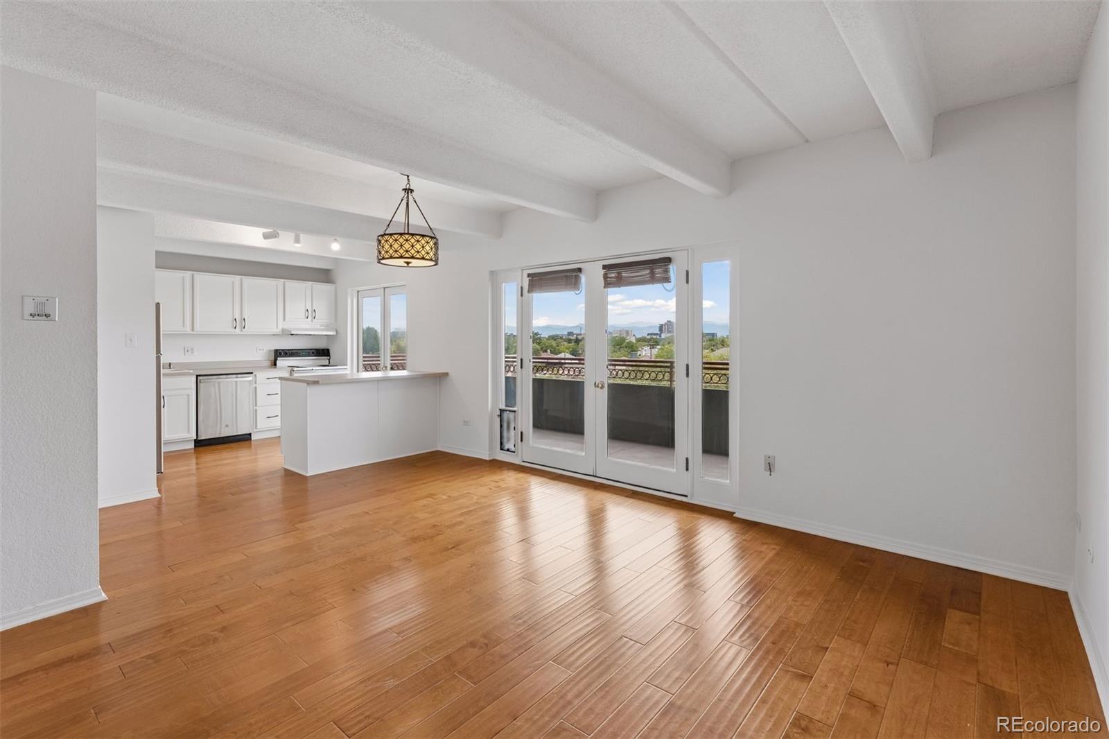 MLS Image #5 for 1441 n humboldt street,denver, Colorado