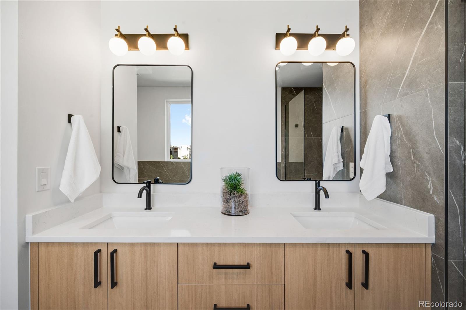 MLS Image #10 for 1301  raleigh street,denver, Colorado