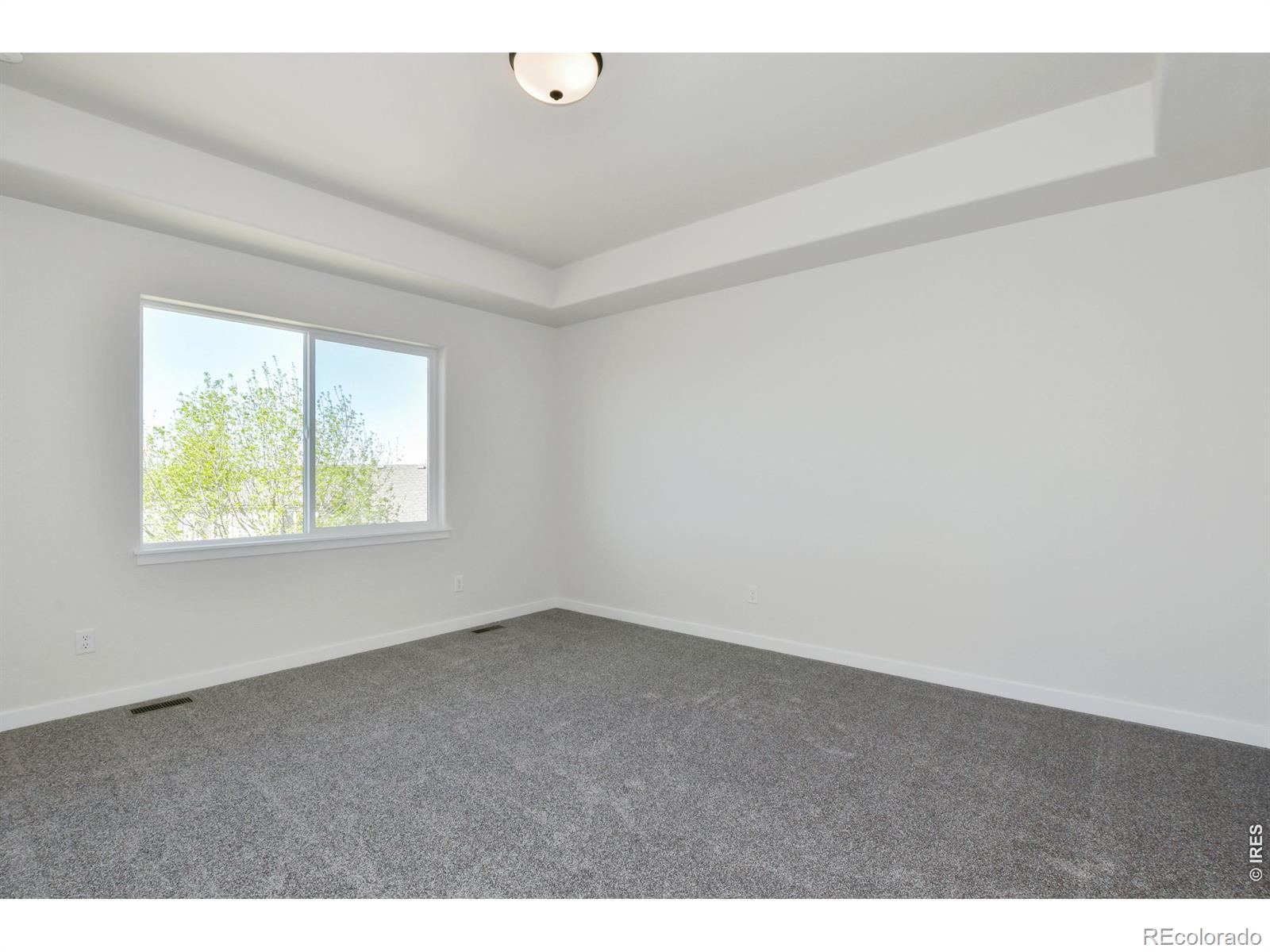 MLS Image #19 for 1188  crown sparrow street,johnstown, Colorado
