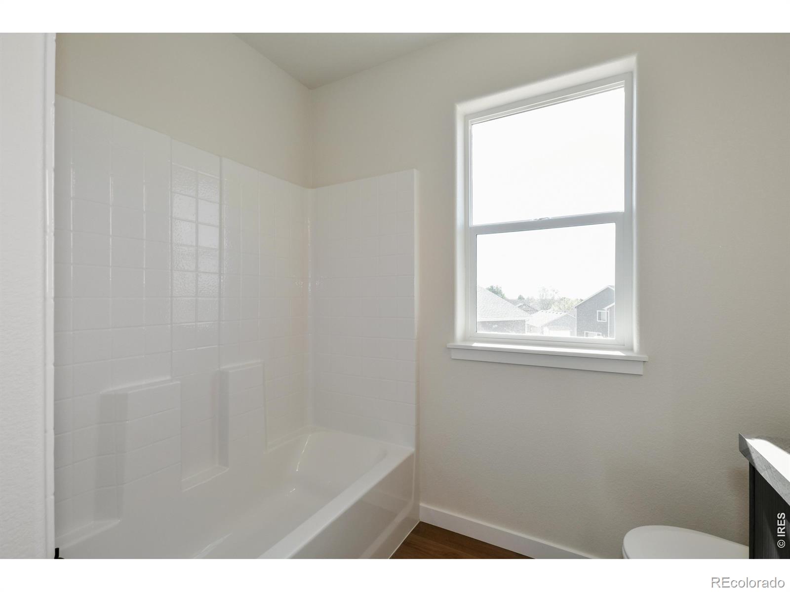 MLS Image #36 for 1188  crown sparrow street,johnstown, Colorado