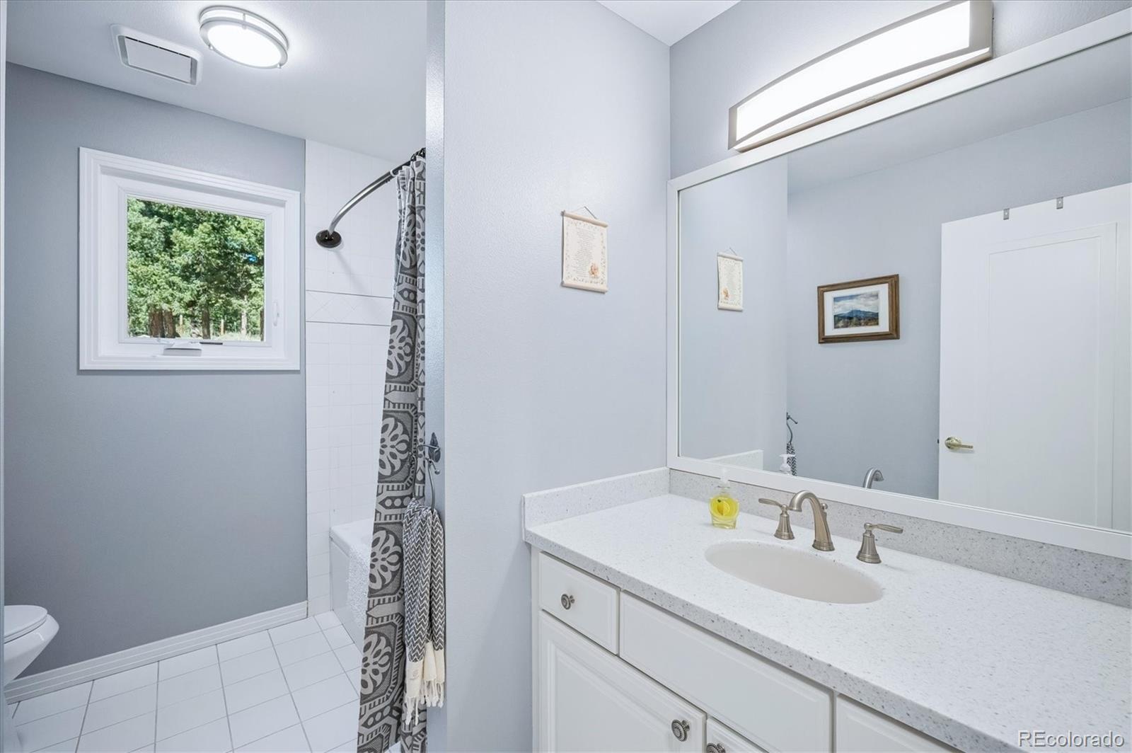 MLS Image #12 for 179  camprobber court,bailey, Colorado