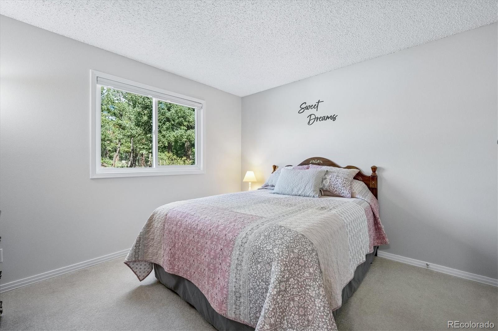 MLS Image #13 for 179  camprobber court,bailey, Colorado