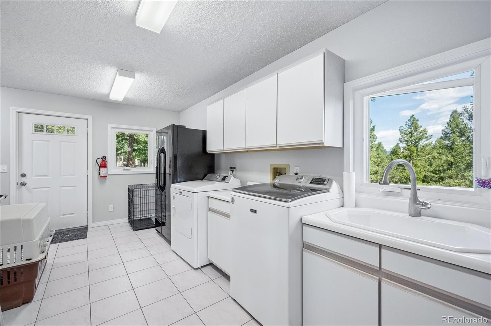 MLS Image #14 for 179  camprobber court,bailey, Colorado
