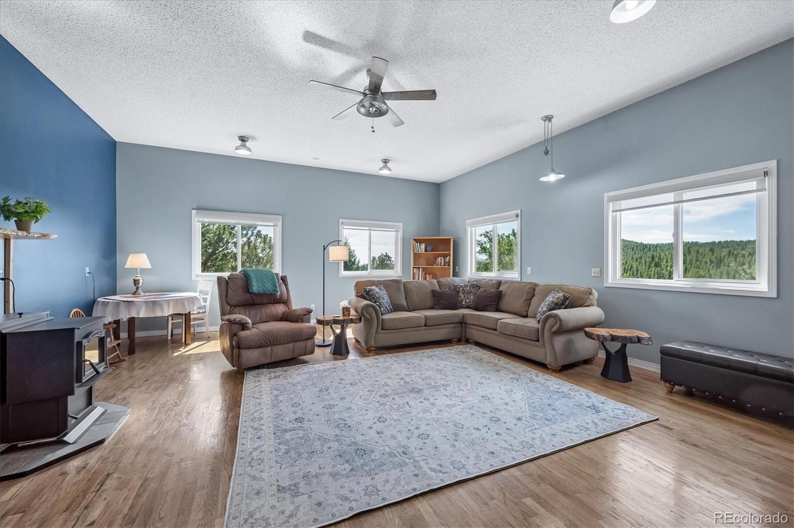 MLS Image #15 for 179  camprobber court,bailey, Colorado