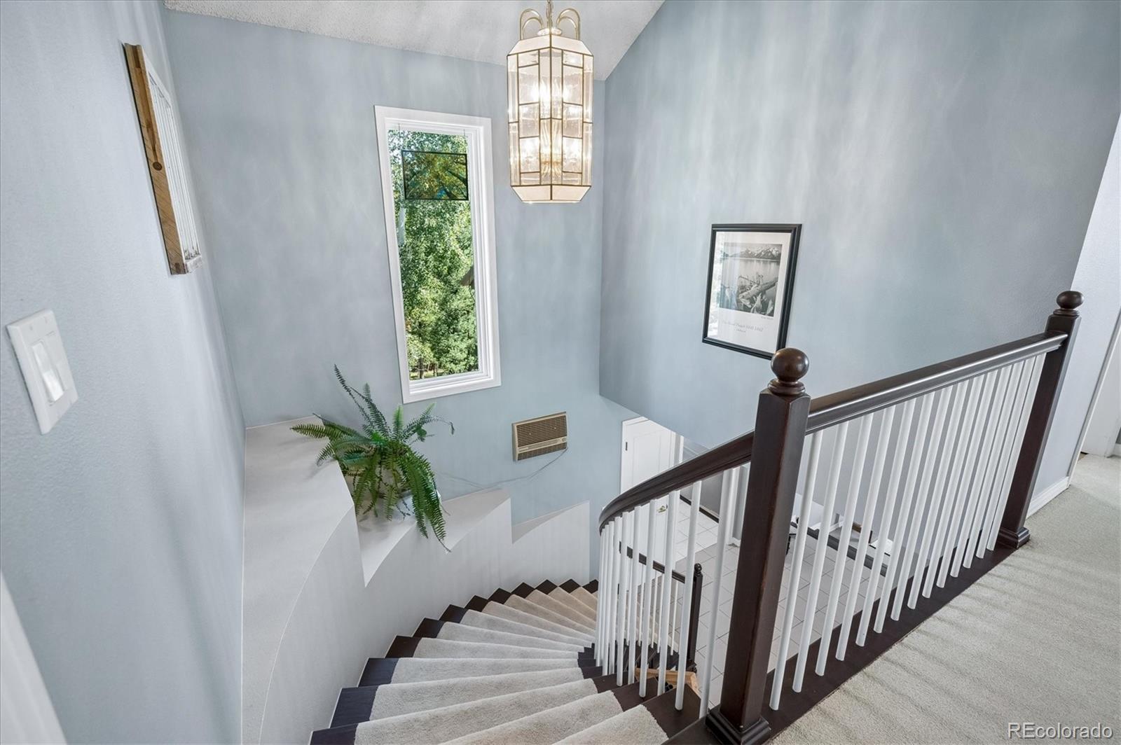 MLS Image #17 for 179  camprobber court,bailey, Colorado