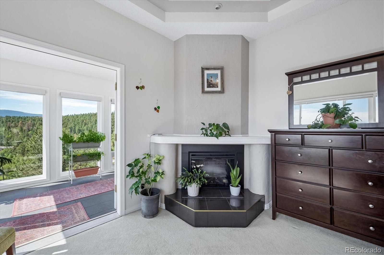 MLS Image #22 for 179  camprobber court,bailey, Colorado