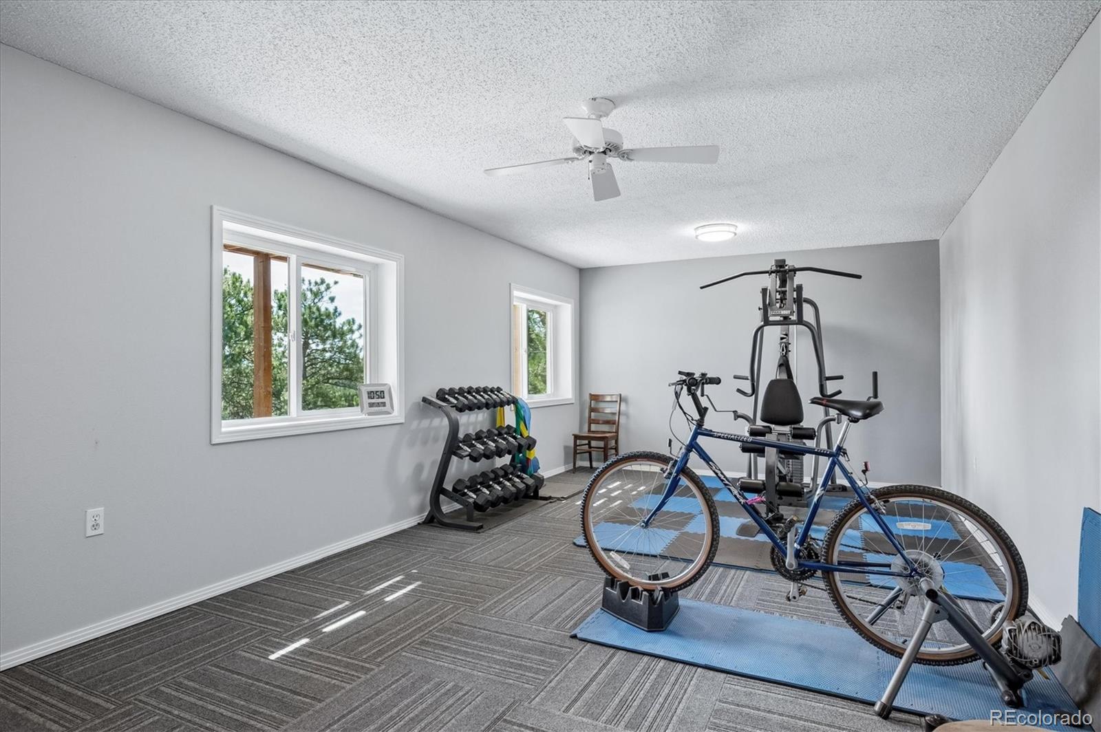 MLS Image #26 for 179  camprobber court,bailey, Colorado