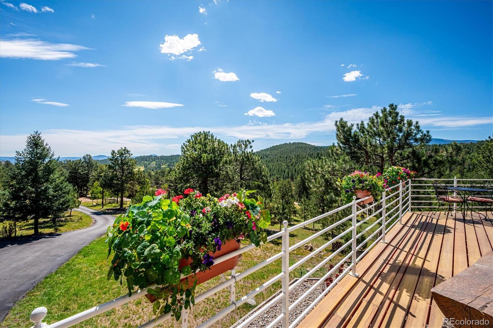 MLS Image #28 for 179  camprobber court,bailey, Colorado