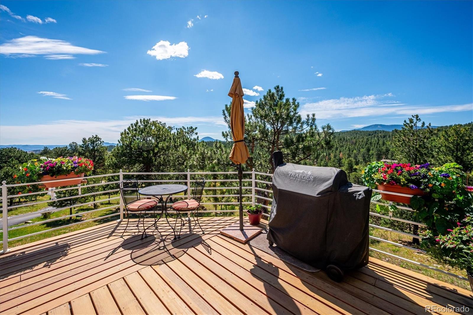MLS Image #30 for 179  camprobber court,bailey, Colorado