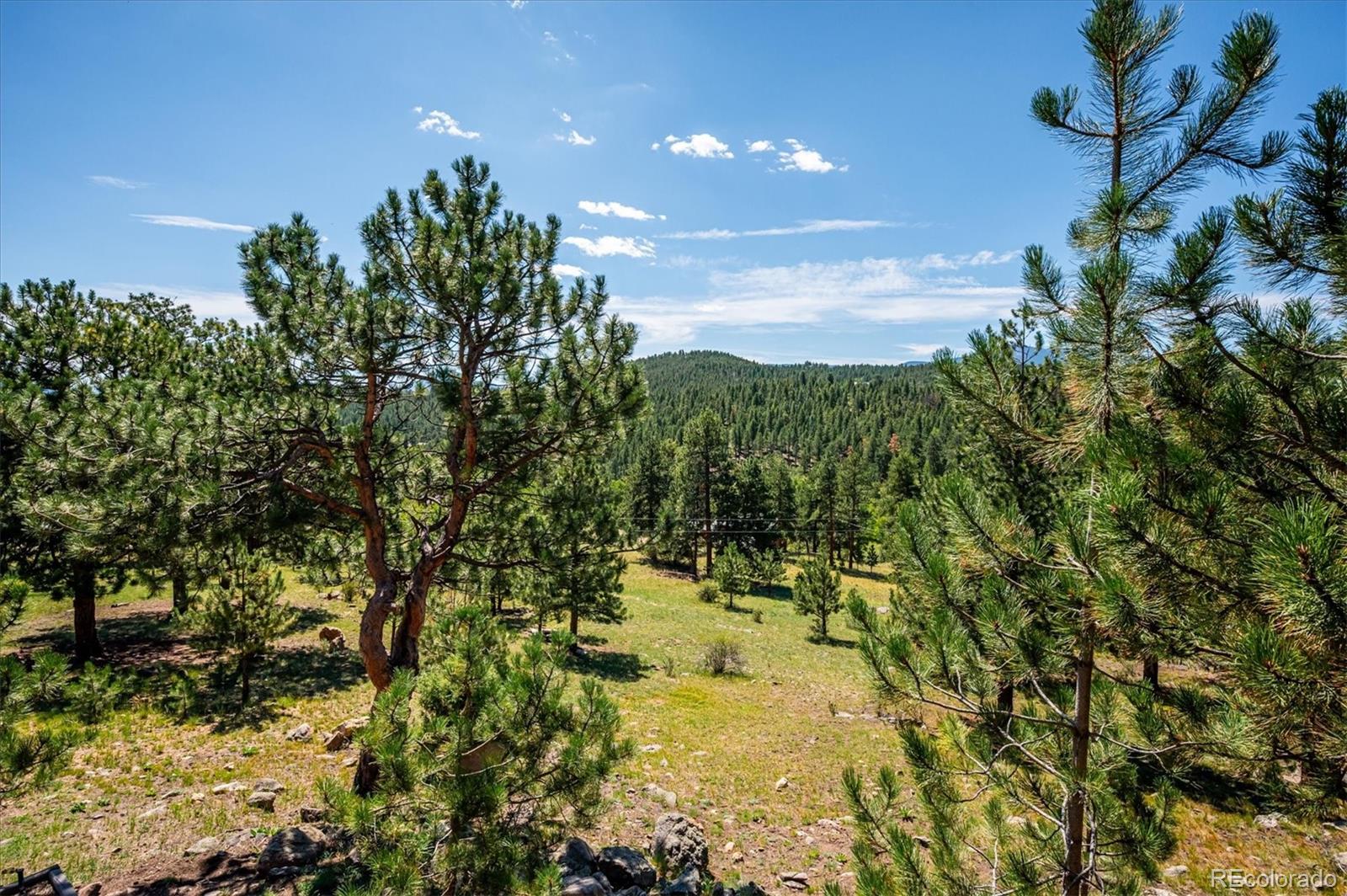 MLS Image #34 for 179  camprobber court,bailey, Colorado