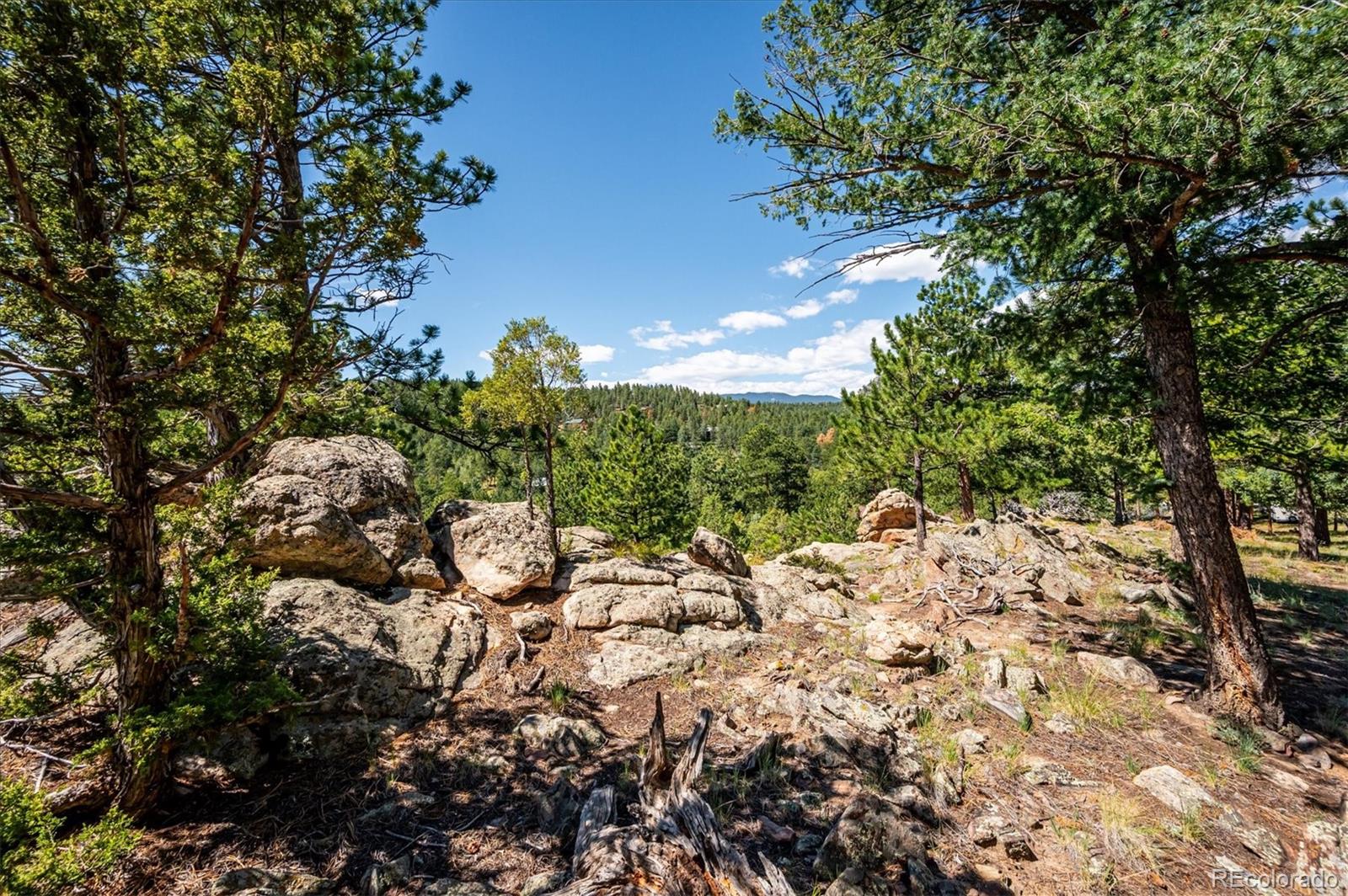 MLS Image #39 for 179  camprobber court,bailey, Colorado
