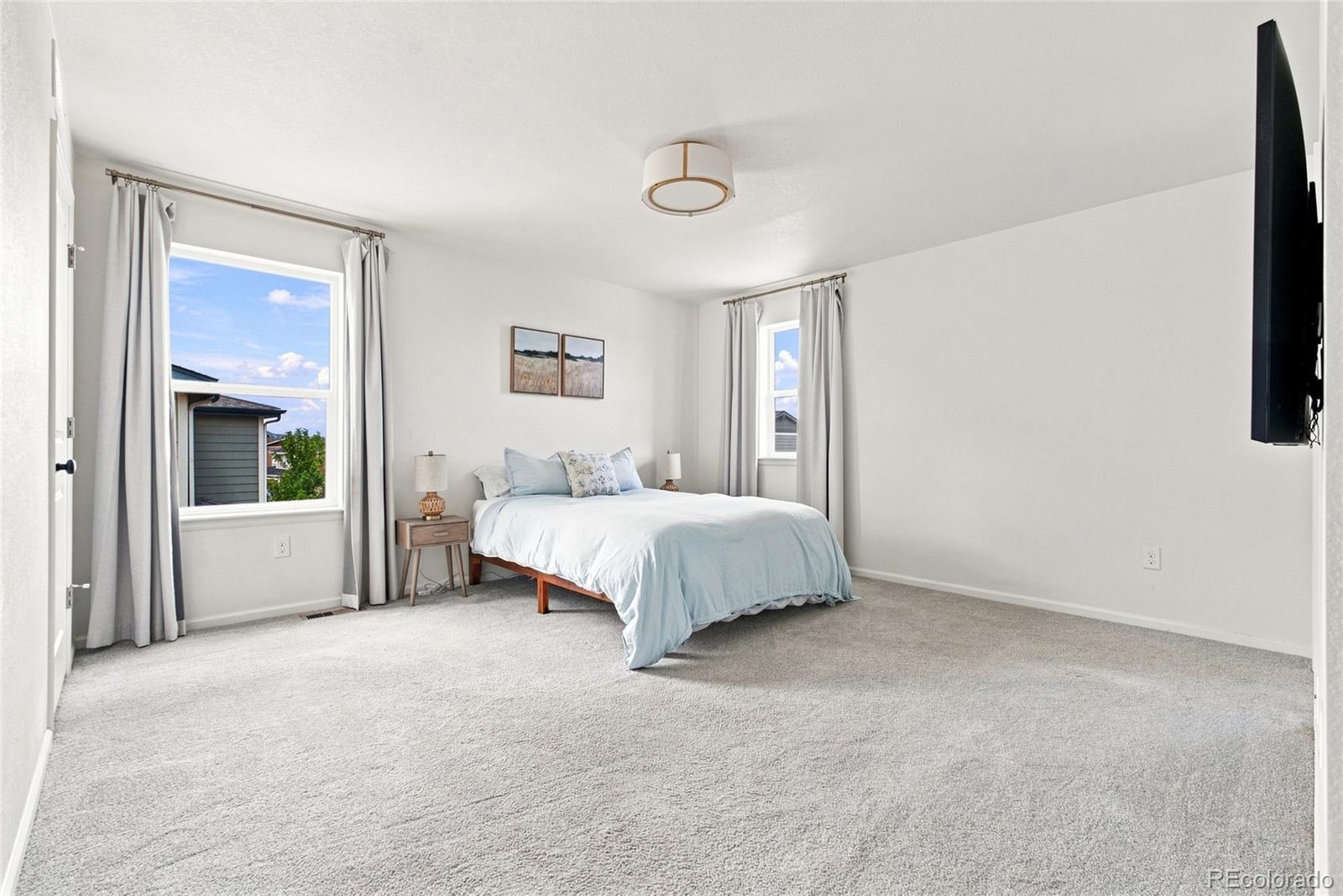 MLS Image #22 for 2985  low meadow boulevard,castle rock, Colorado