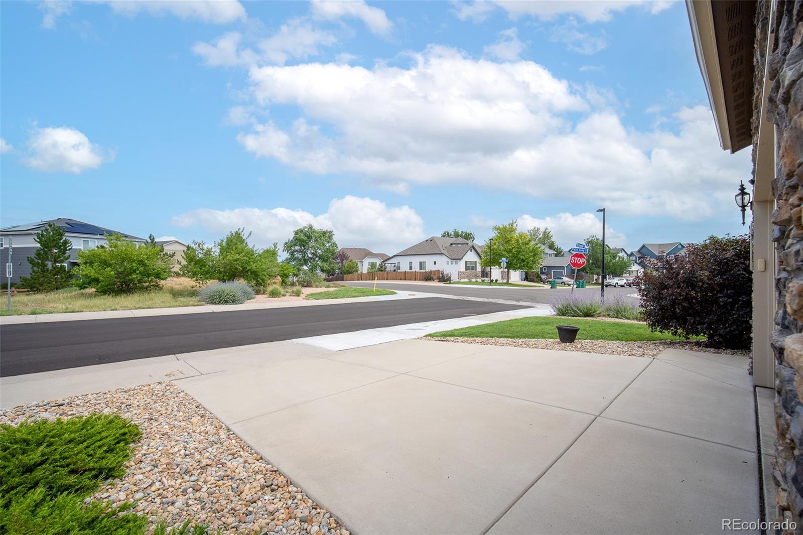 MLS Image #3 for 2177  summerhill drive,castle rock, Colorado