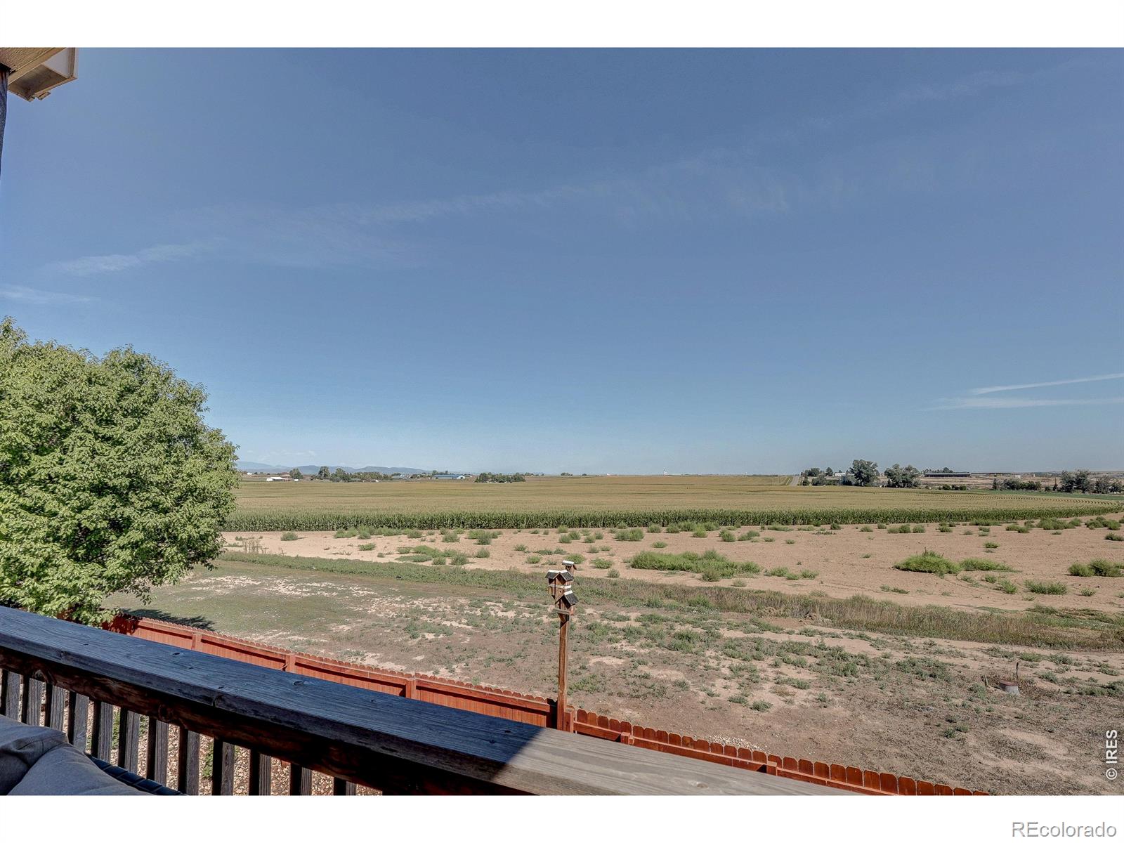 MLS Image #23 for 3125  argyll lane,johnstown, Colorado