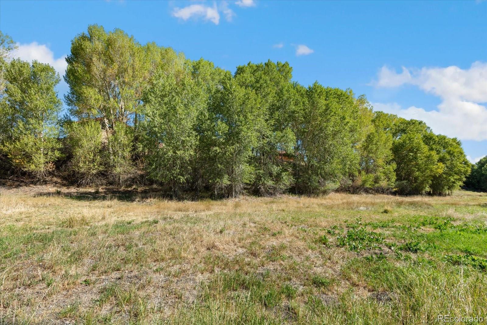 MLS Image #44 for 9901  county road 120 ,salida, Colorado