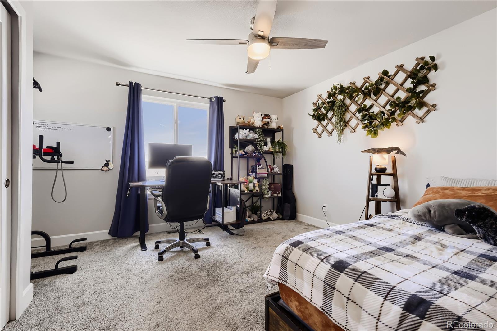 MLS Image #17 for 10129  germander grove,colorado springs, Colorado