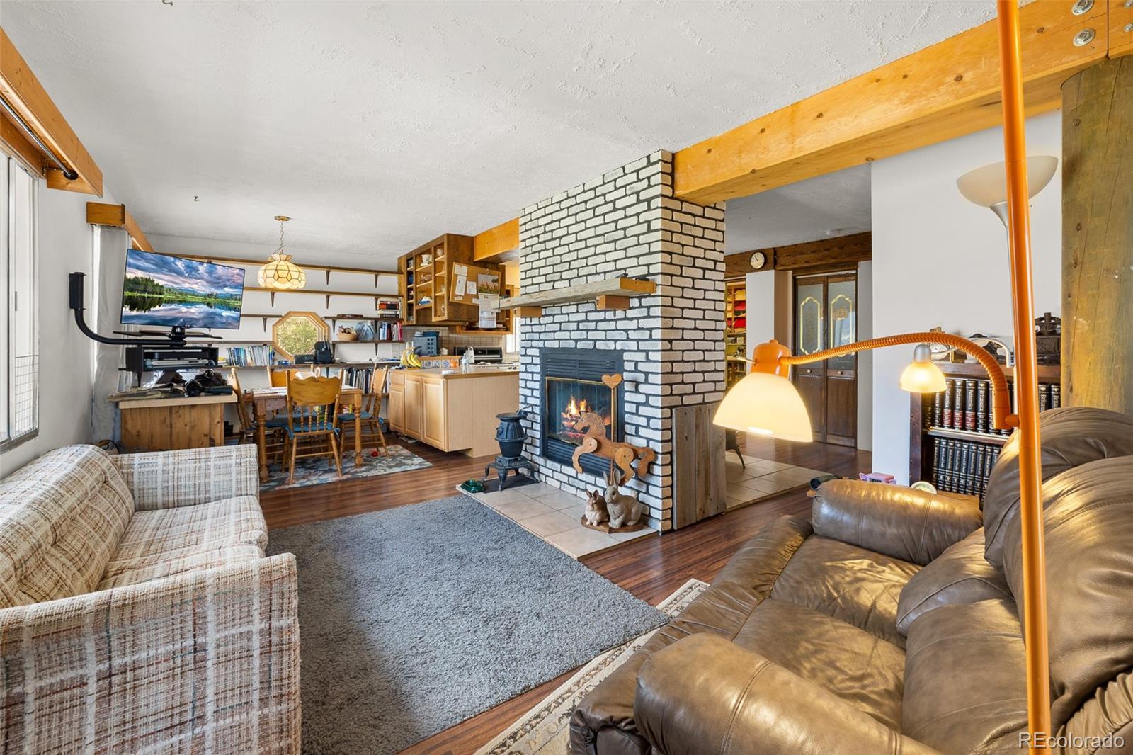 MLS Image #10 for 474  gap road,fairplay, Colorado