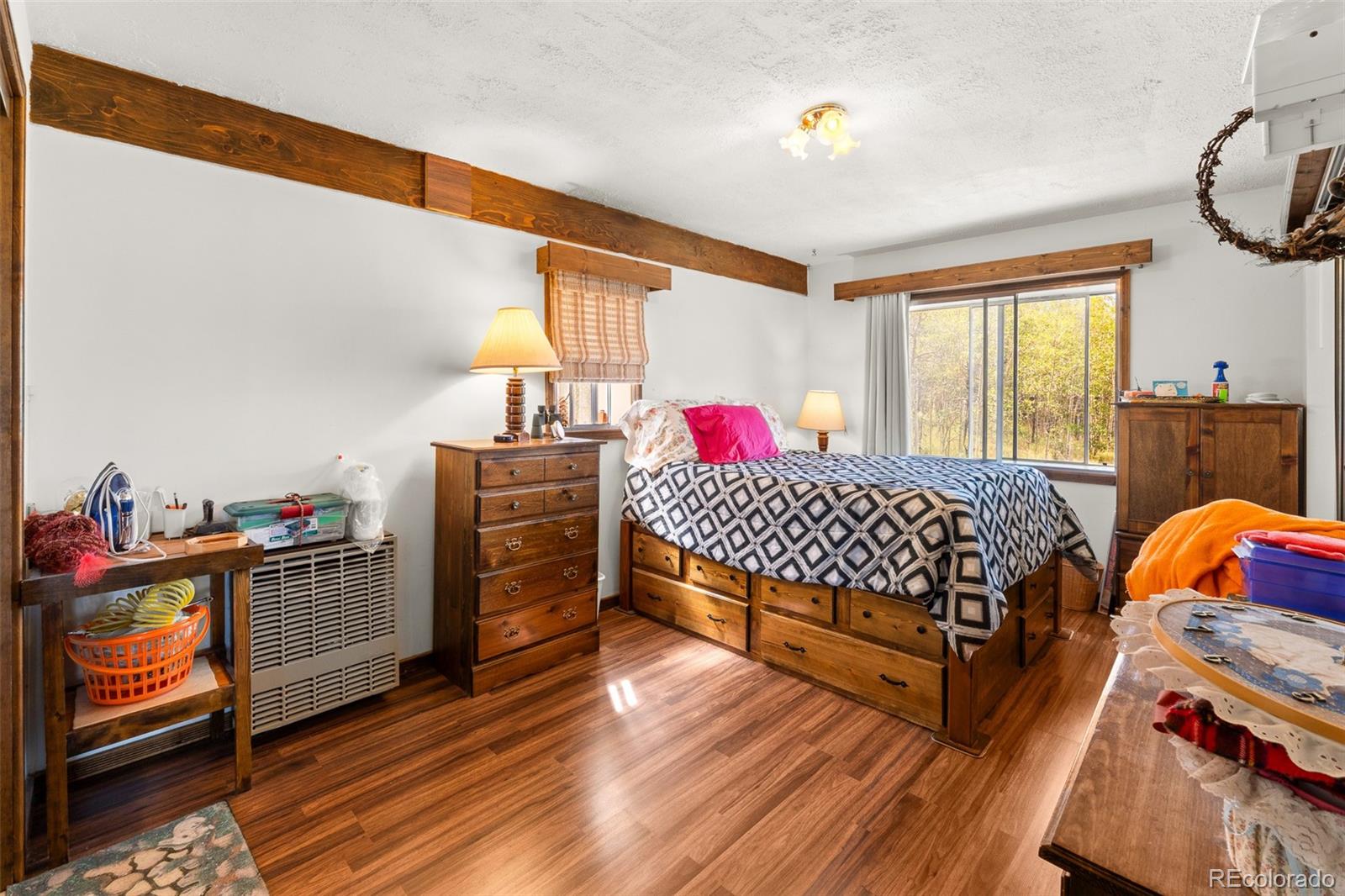 MLS Image #19 for 474  gap road,fairplay, Colorado