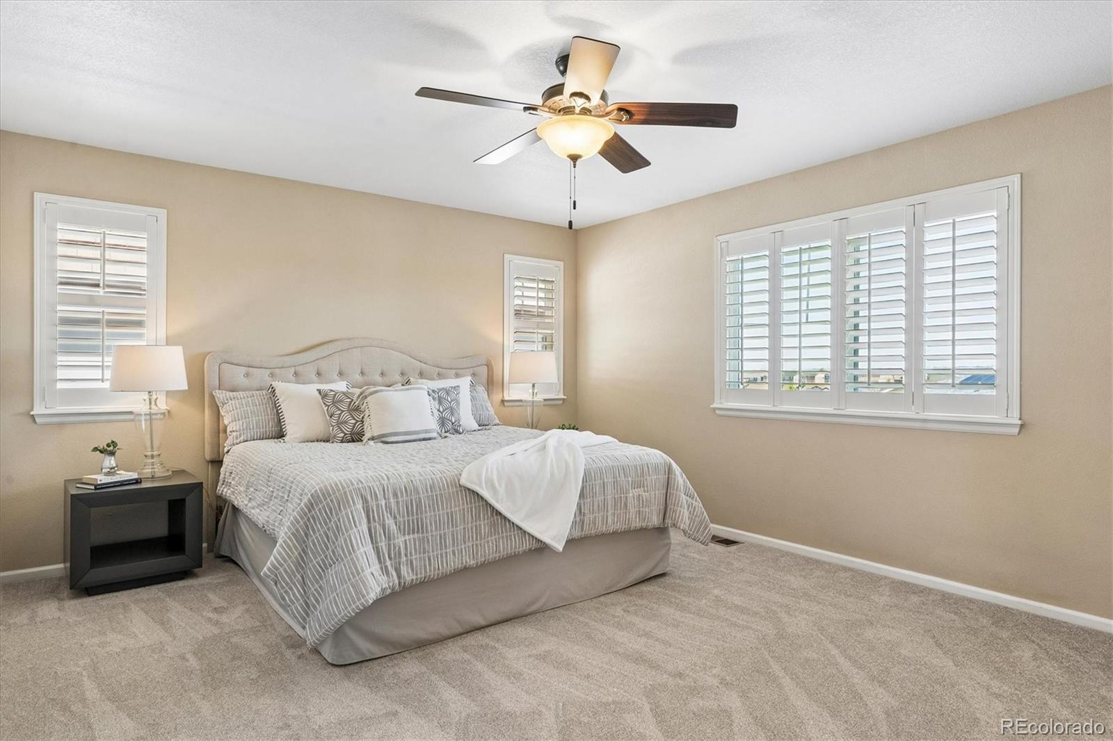 MLS Image #13 for 10242  greenfield circle,parker, Colorado