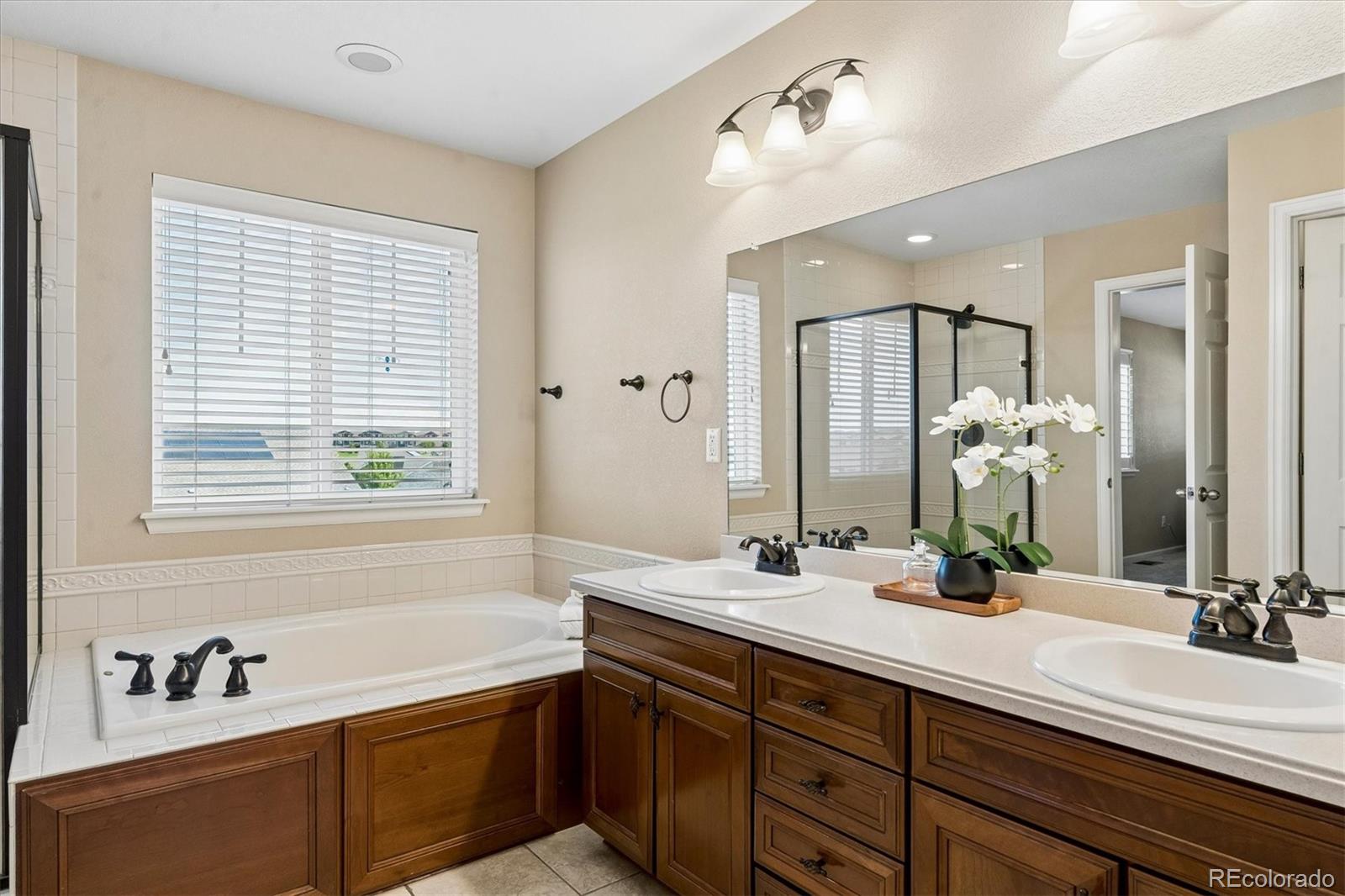 MLS Image #14 for 10242  greenfield circle,parker, Colorado