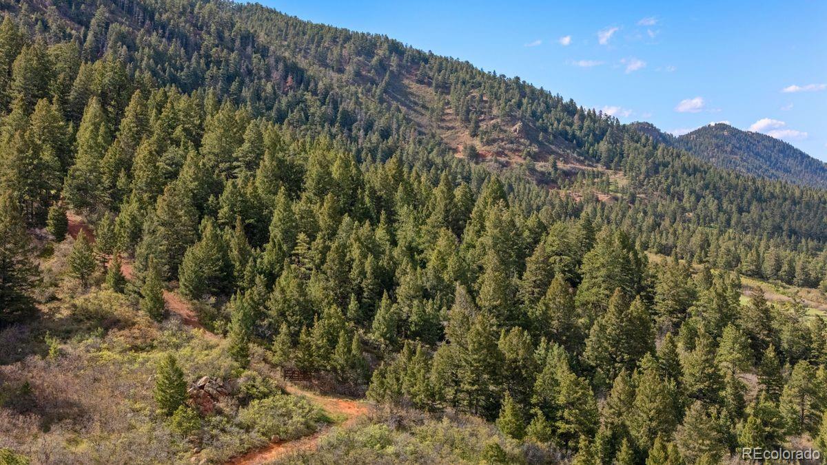 MLS Image #13 for 15947 s perry park road,palmer lake, Colorado