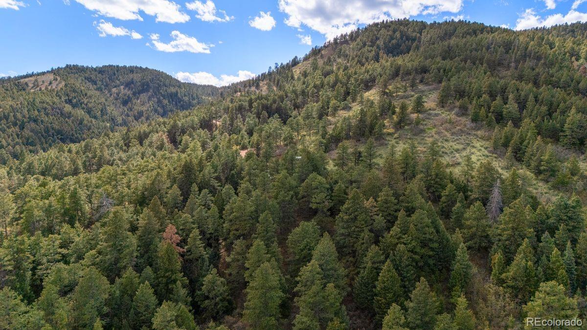 MLS Image #15 for 15947 s perry park road,palmer lake, Colorado
