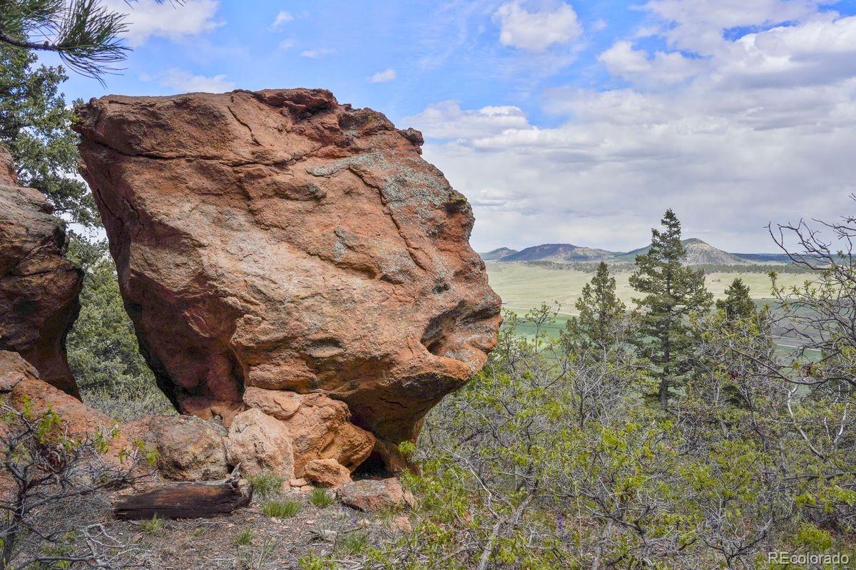 MLS Image #3 for 15947 s perry park road,palmer lake, Colorado