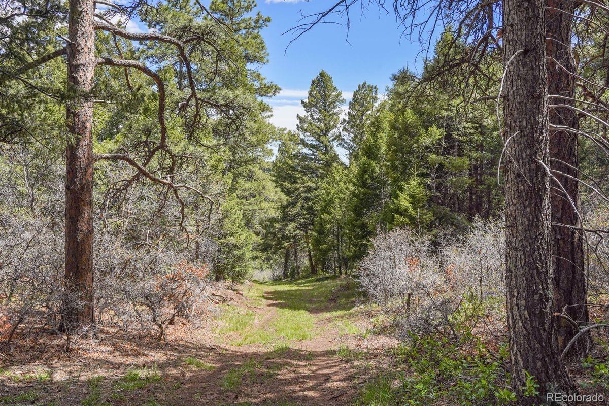 MLS Image #5 for 15947 s perry park road,palmer lake, Colorado
