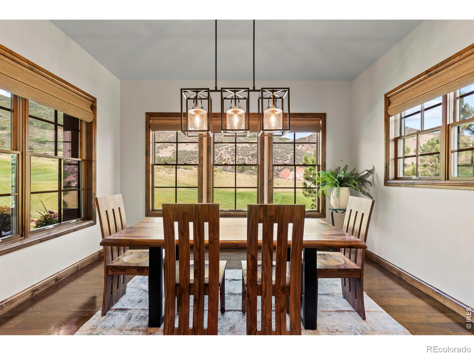MLS Image #18 for 8079  galileo way,littleton, Colorado