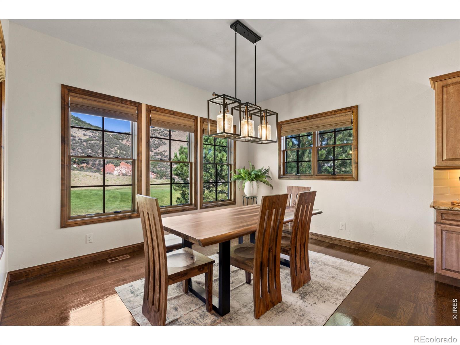 MLS Image #19 for 8079  galileo way,littleton, Colorado