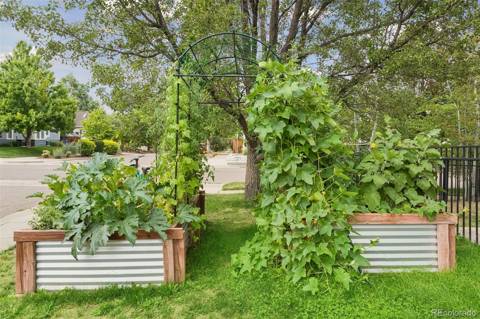 MLS Image #4 for 3274  vrain street,denver, Colorado