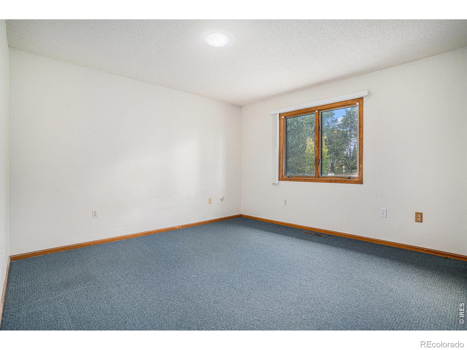 MLS Image #14 for 600  collingswood drive,fort collins, Colorado