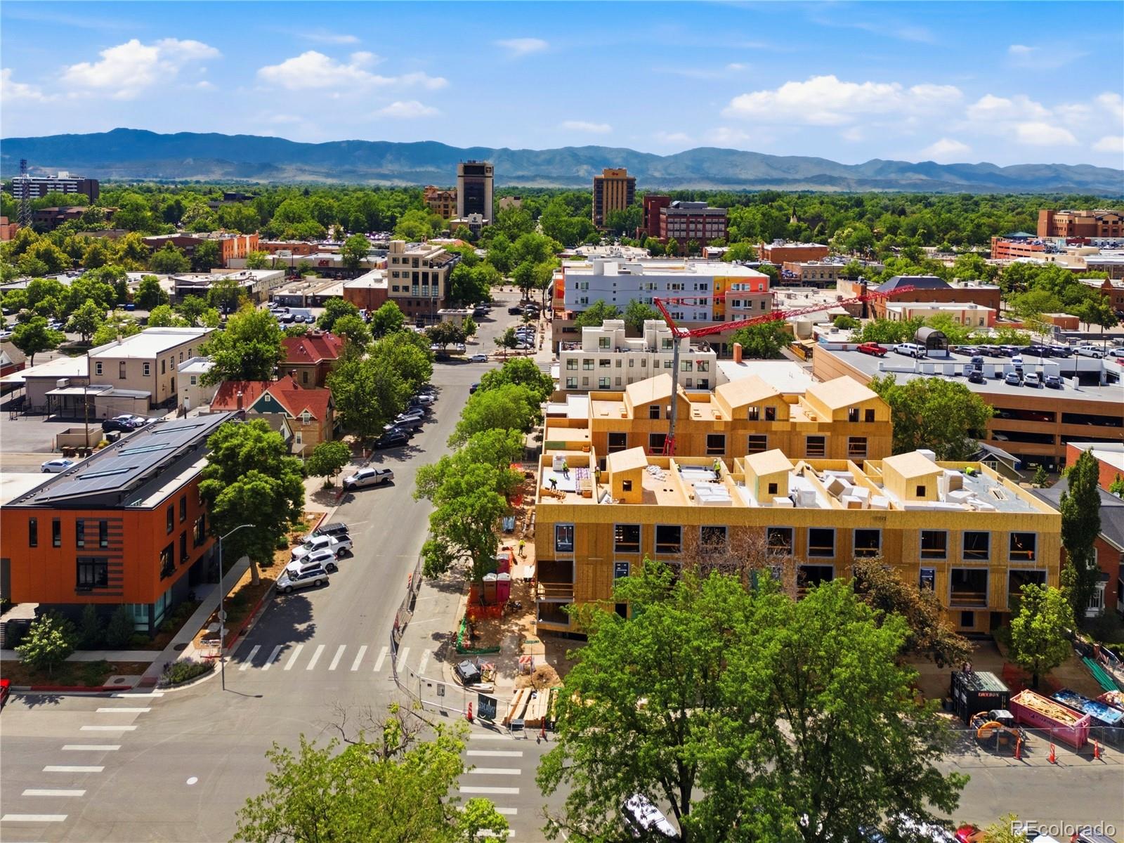 MLS Image #6 for 216 e oak street,fort collins, Colorado