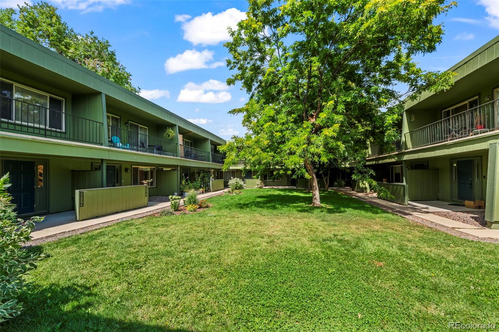 MLS Image #3 for 3775  quail street,wheat ridge, Colorado