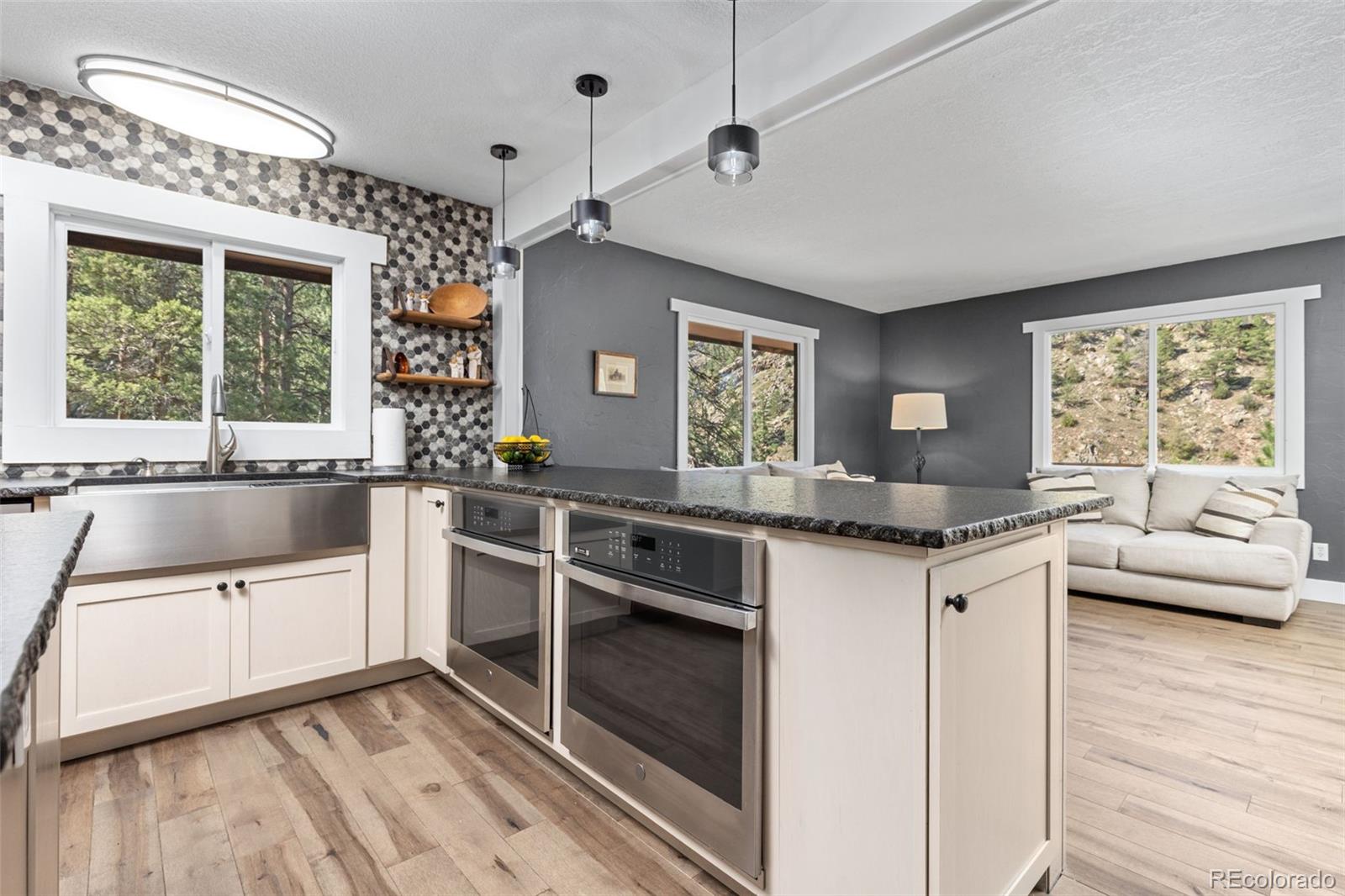 MLS Image #11 for 130  sly fox road,drake, Colorado