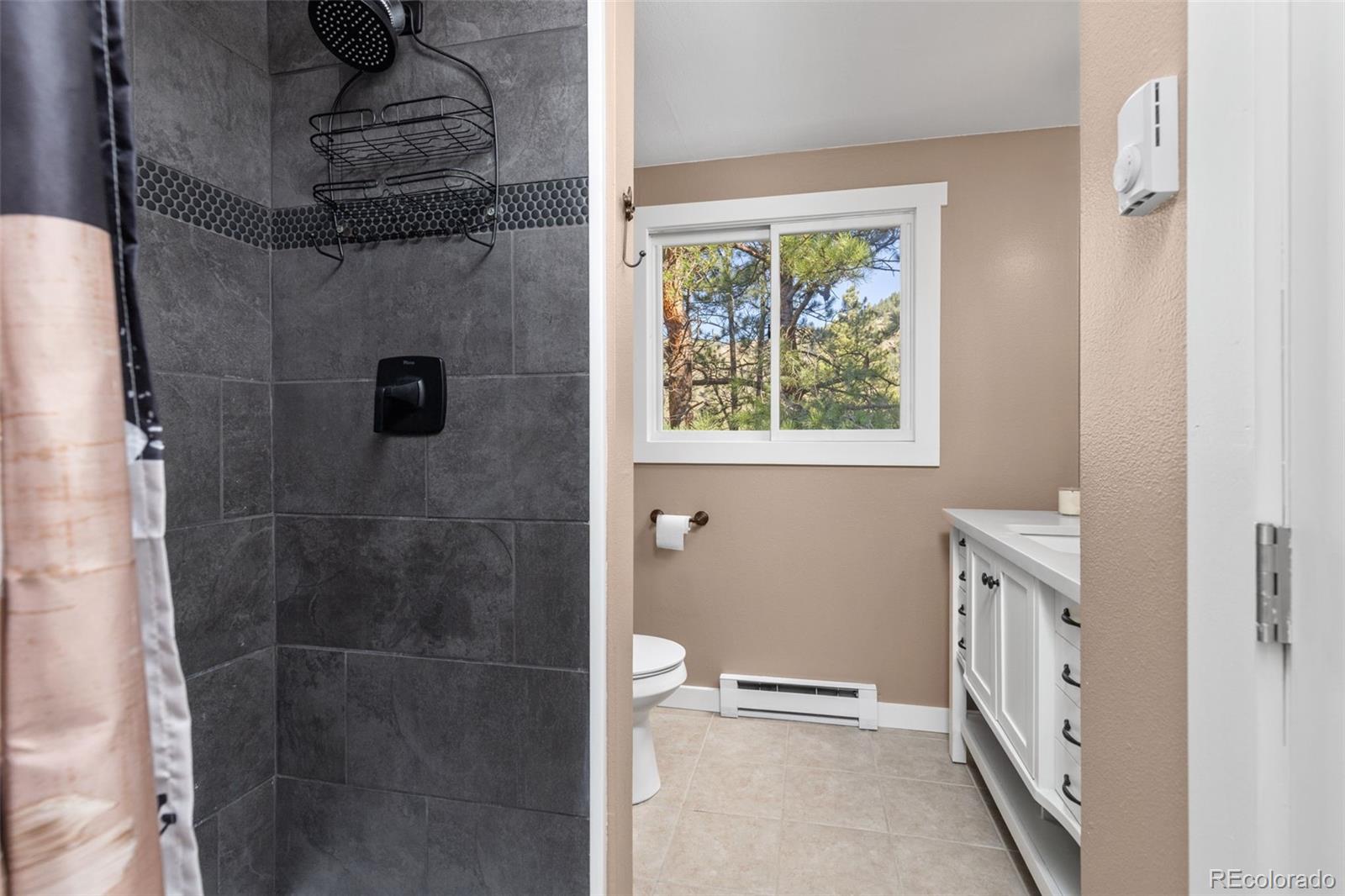 MLS Image #27 for 130  sly fox road,drake, Colorado