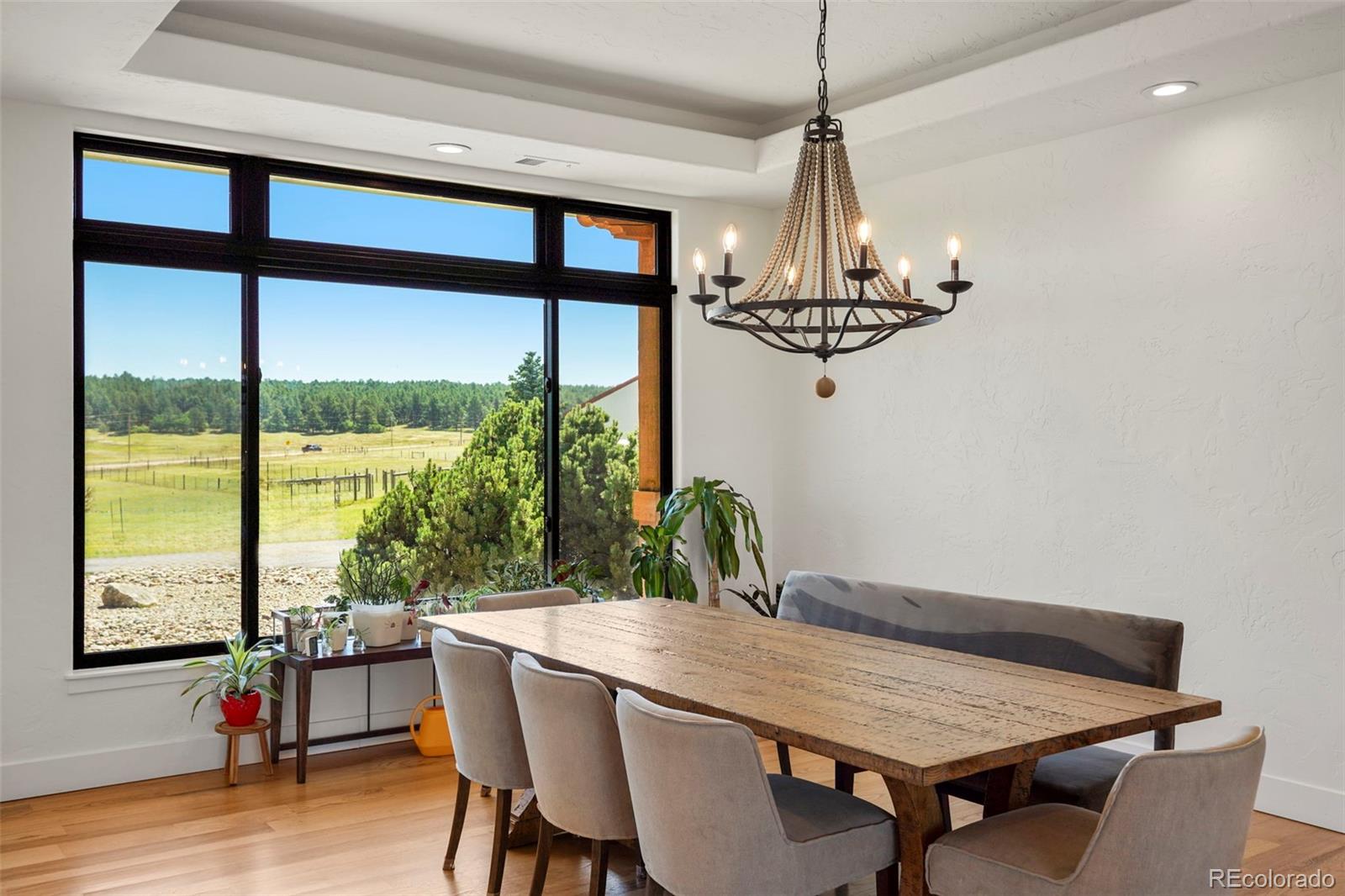 MLS Image #9 for 13273  furrow road,larkspur, Colorado